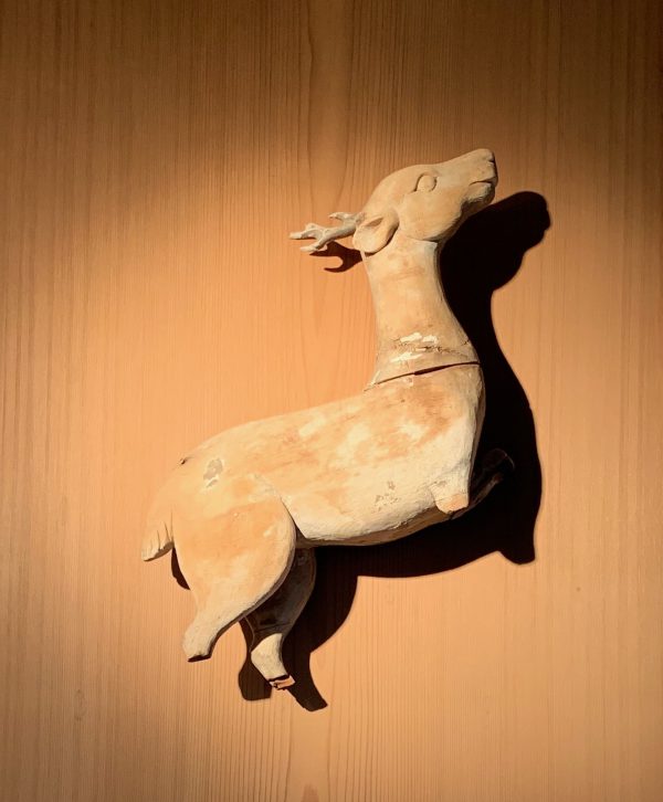 Rare Cedar Wood Shinto Deer