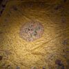 Yellow Silk Ground Embroidered Birds and Flower Bed Cover - Image 2