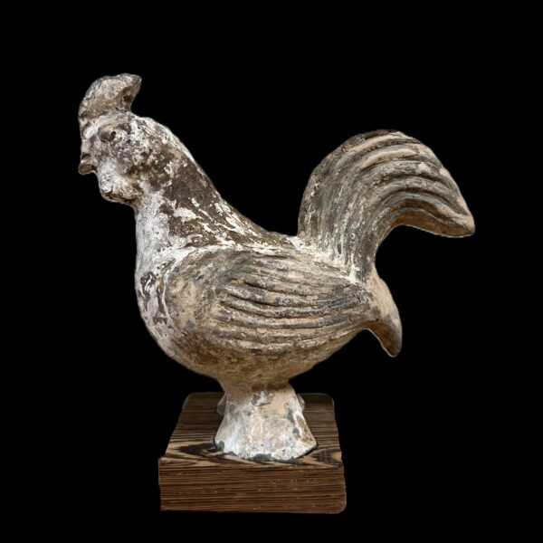 Tang Model of Chick